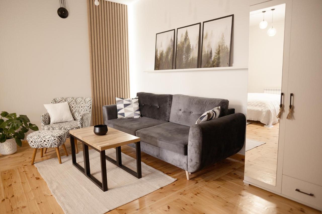 Apartamenty ズビエジニエツ エクステリア 写真